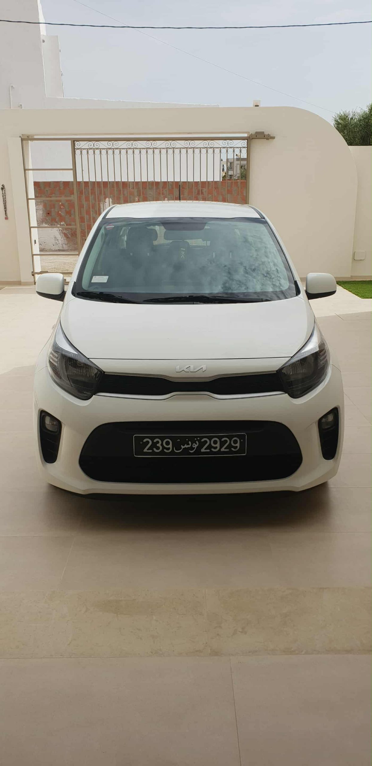 Kia picanto