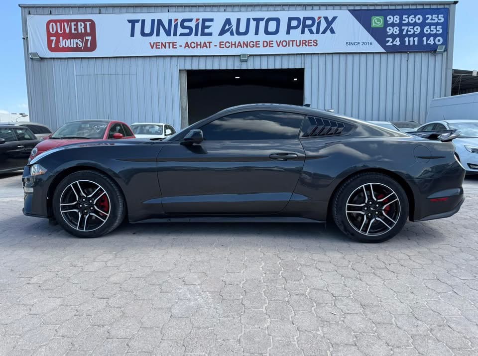 Mustang FCR