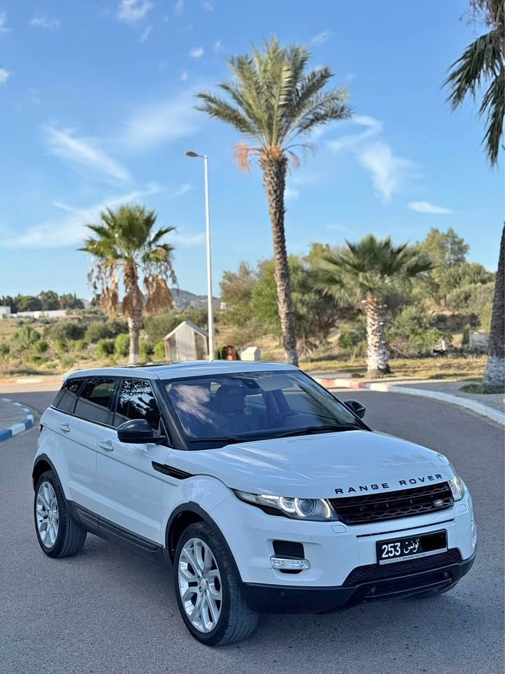 Evoque Dynamic