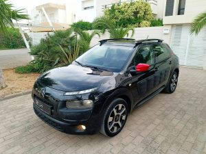 C4 Cactus