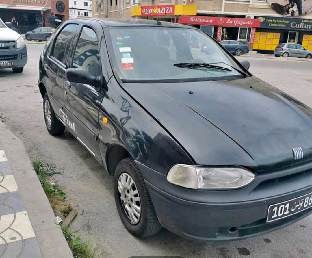 Fiat palio 1