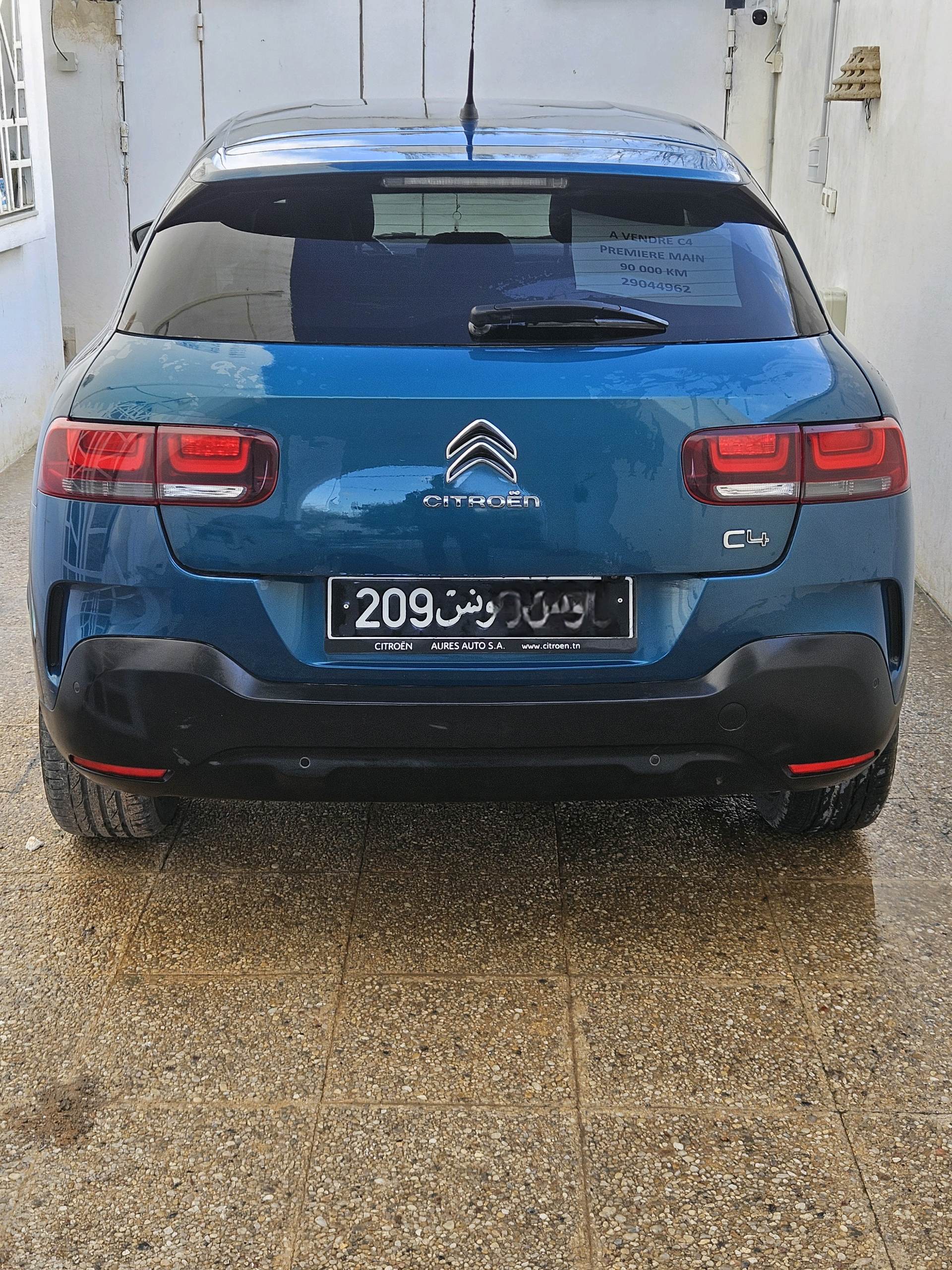 C4 cactus