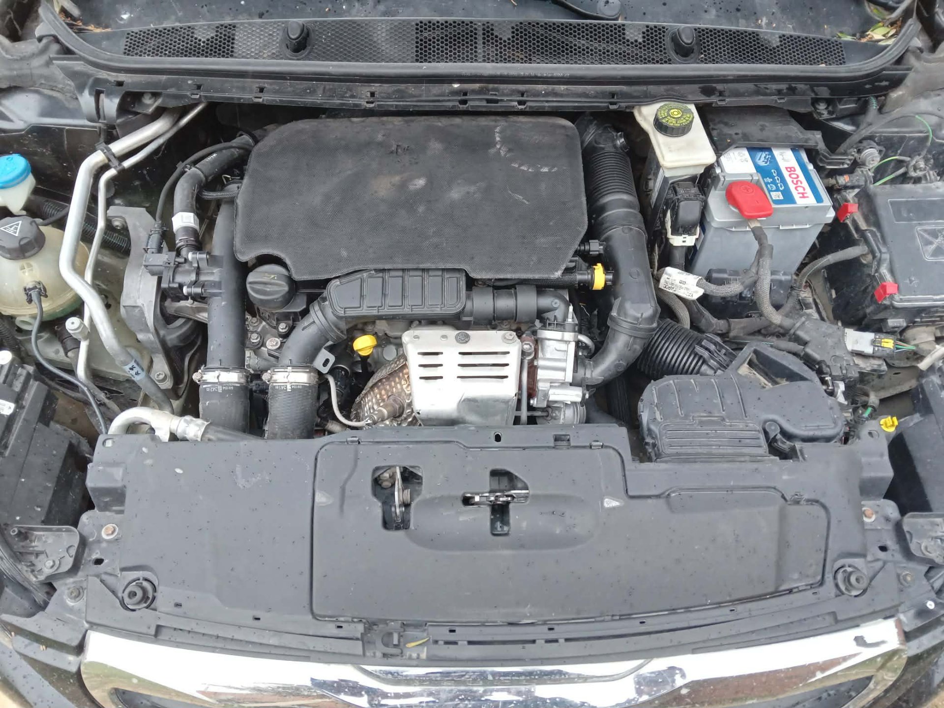 Image 7
