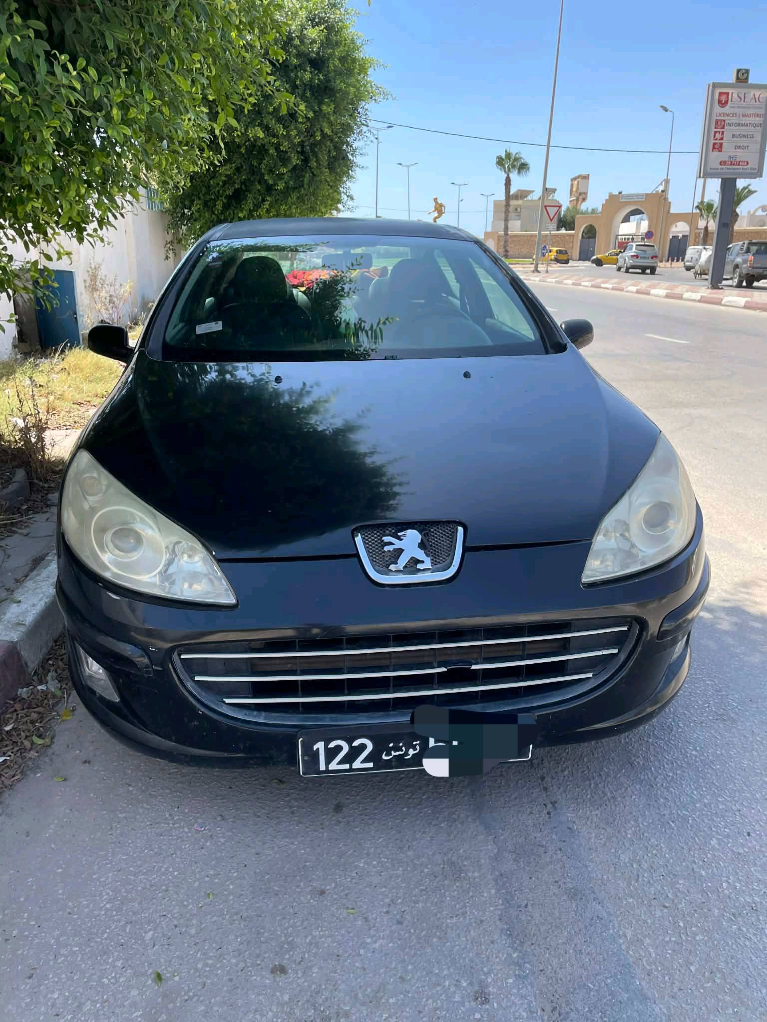 Peugeot 407