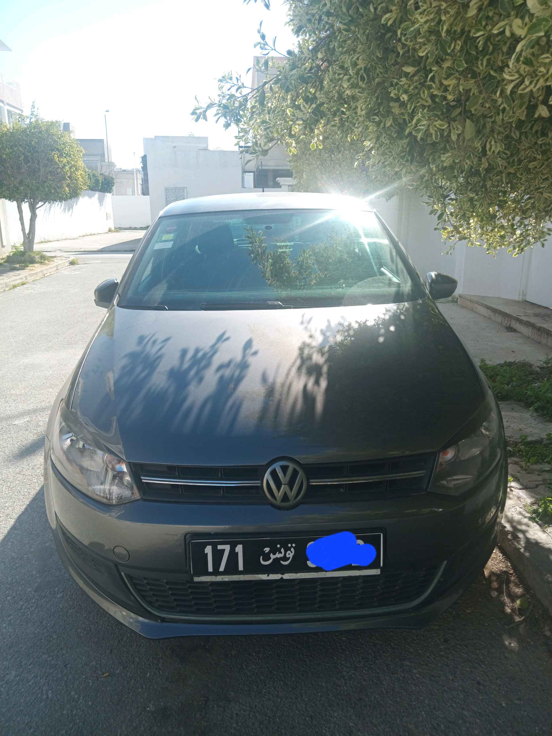Polo 7