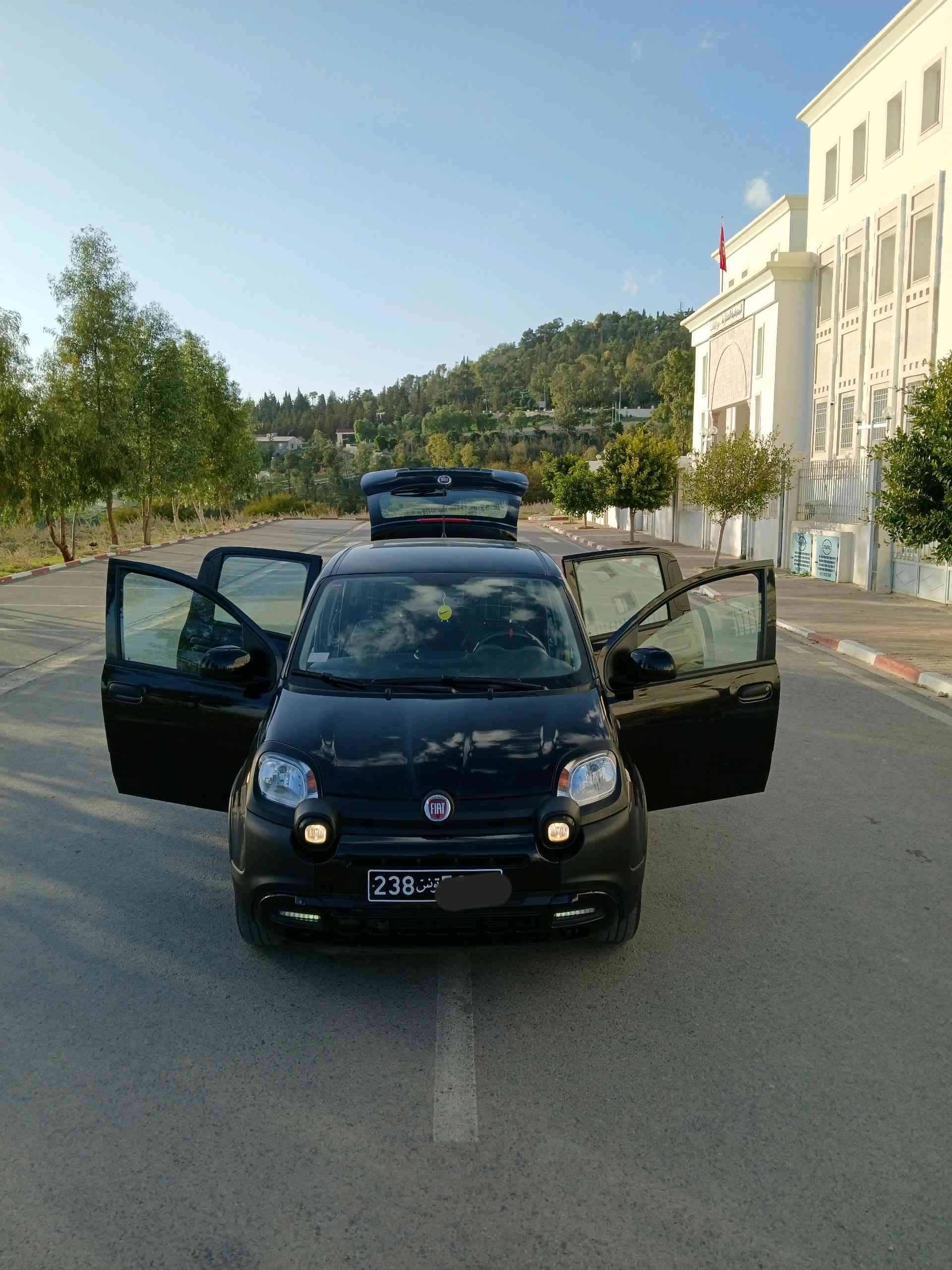 Image 4