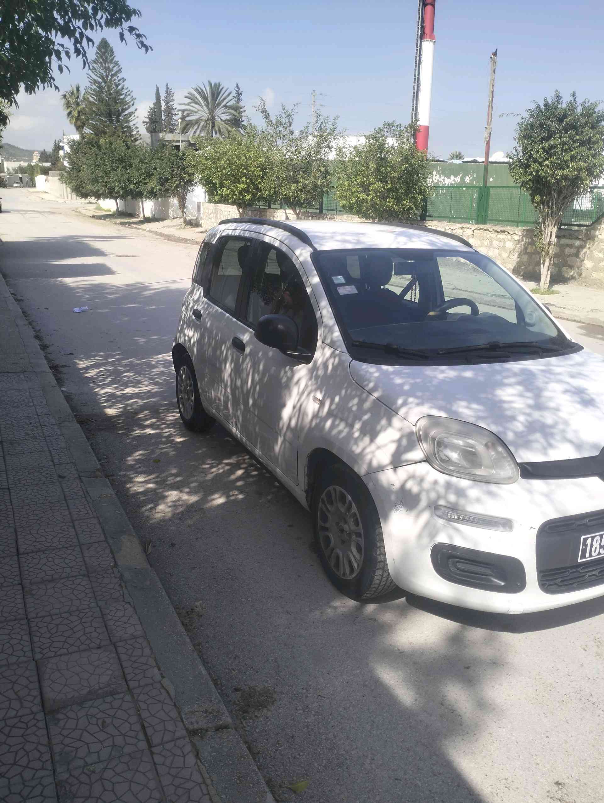 Image 5
