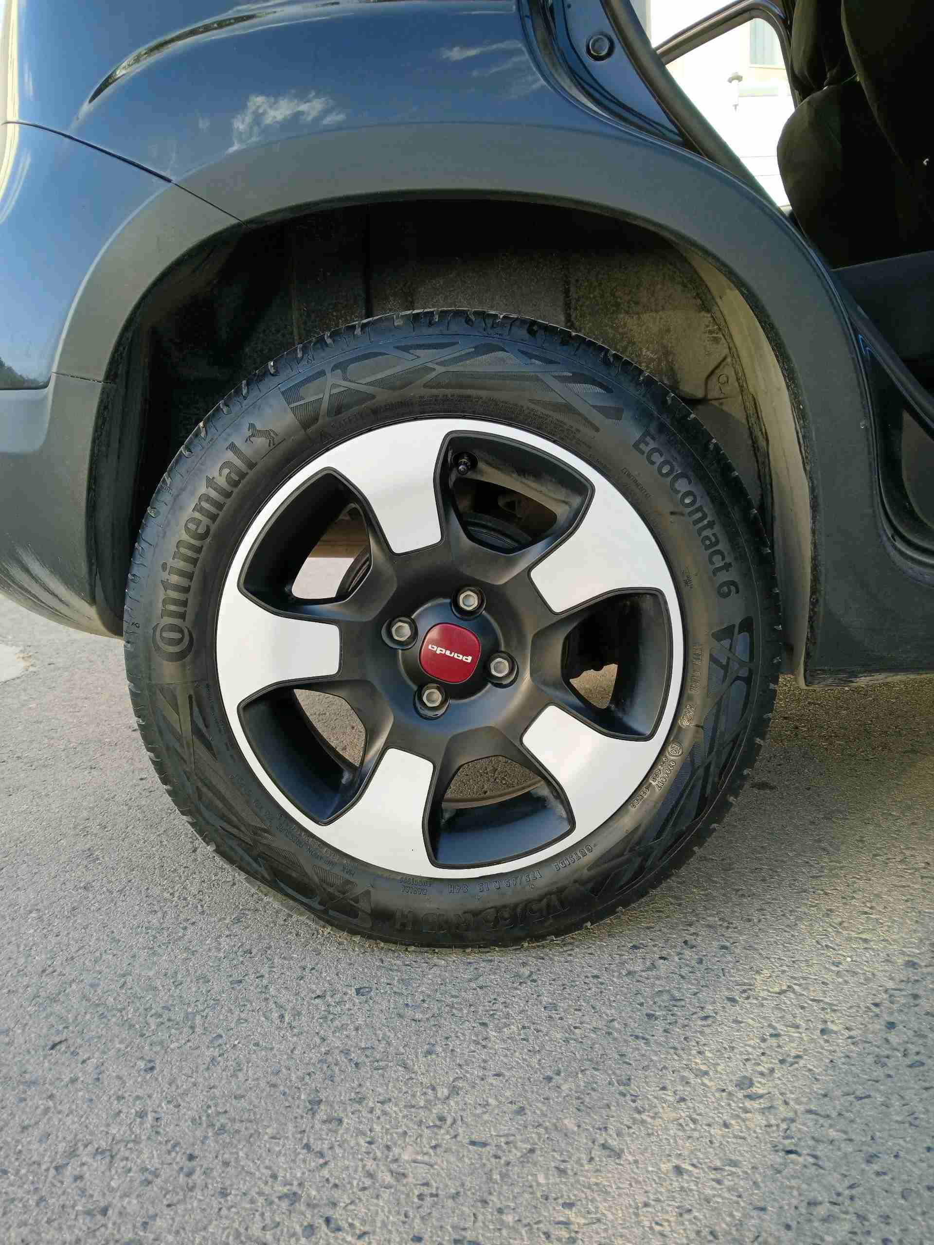 Image 6