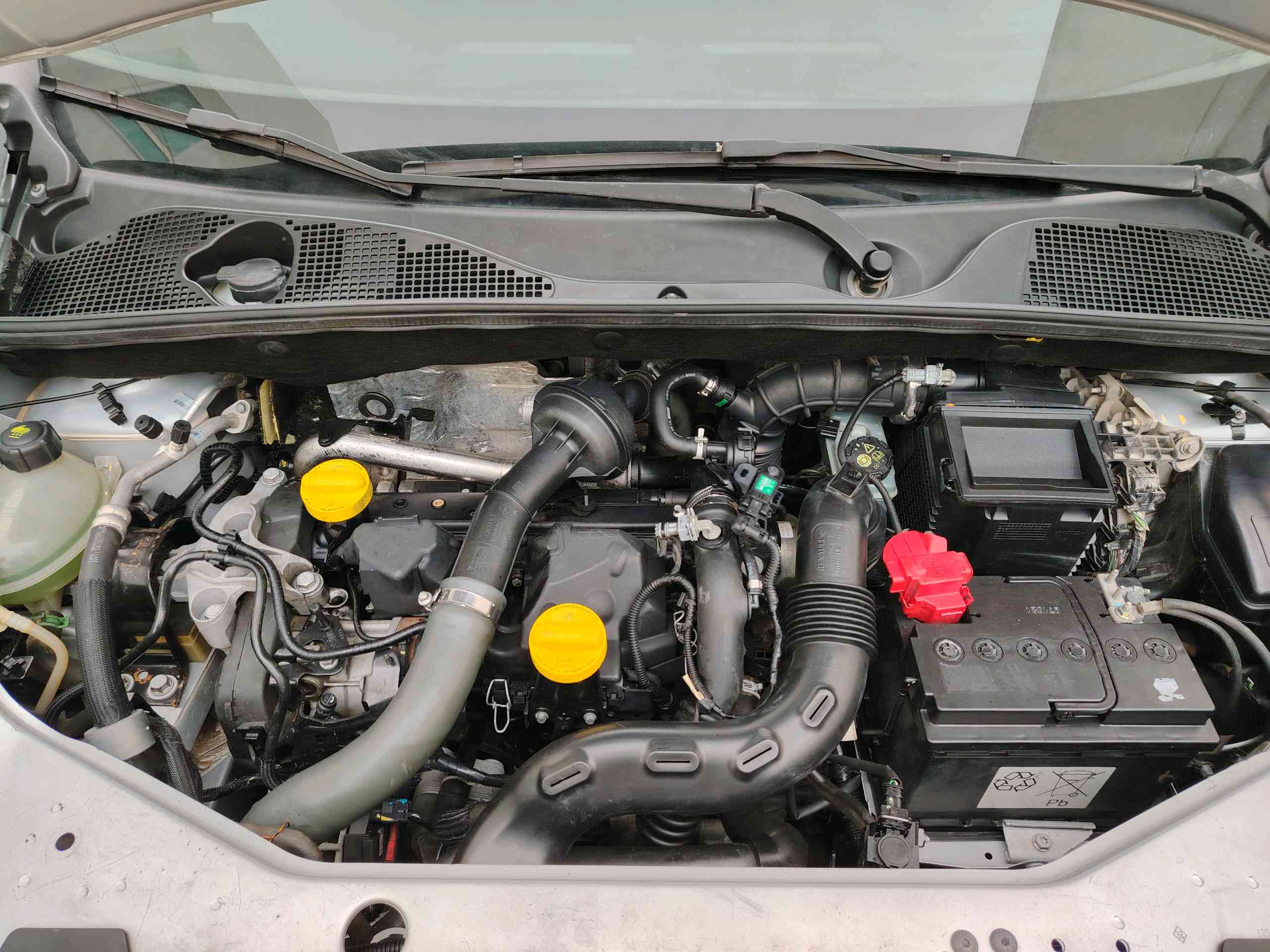 Image 7
