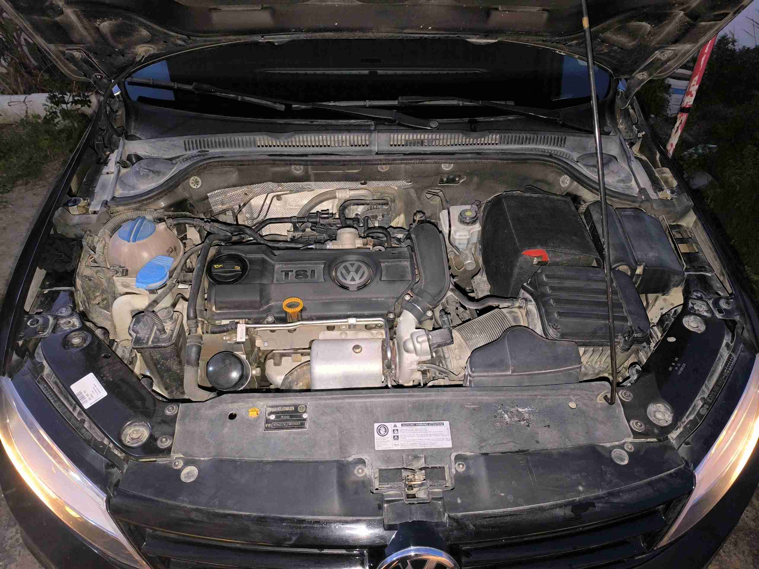 Image 7
