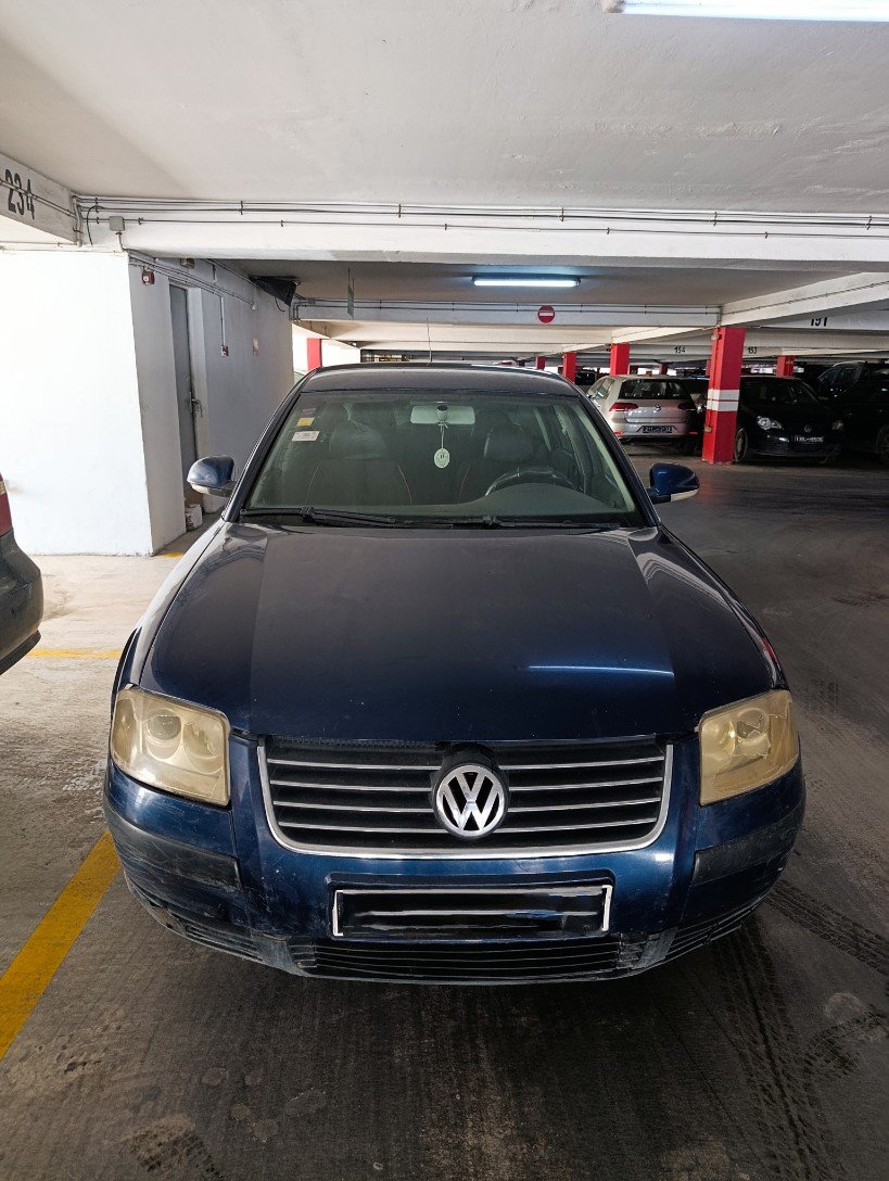 VW Passat