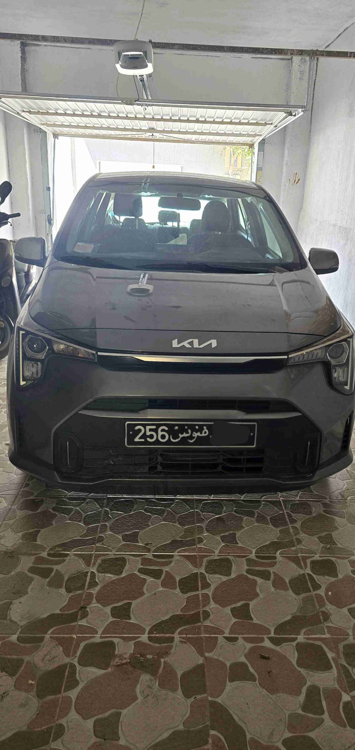kia picanto