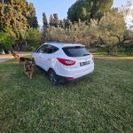 Miniature 7