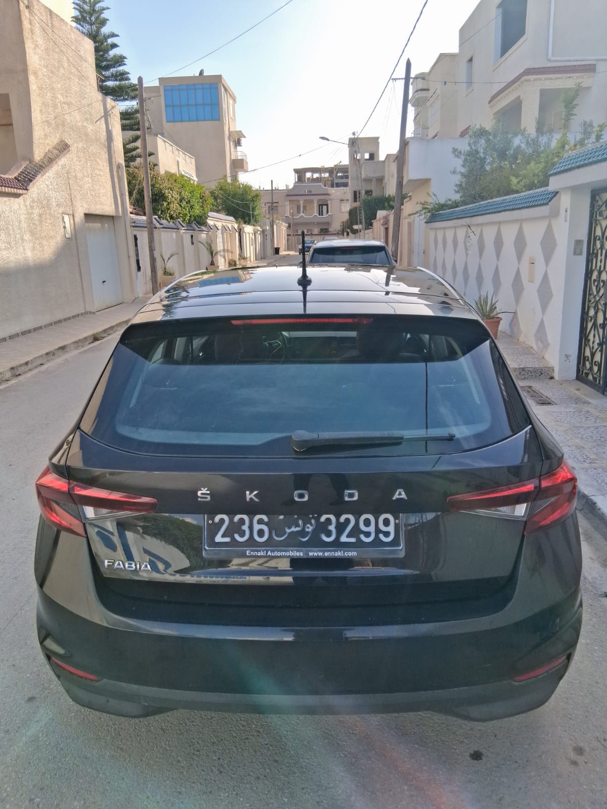 Image 8