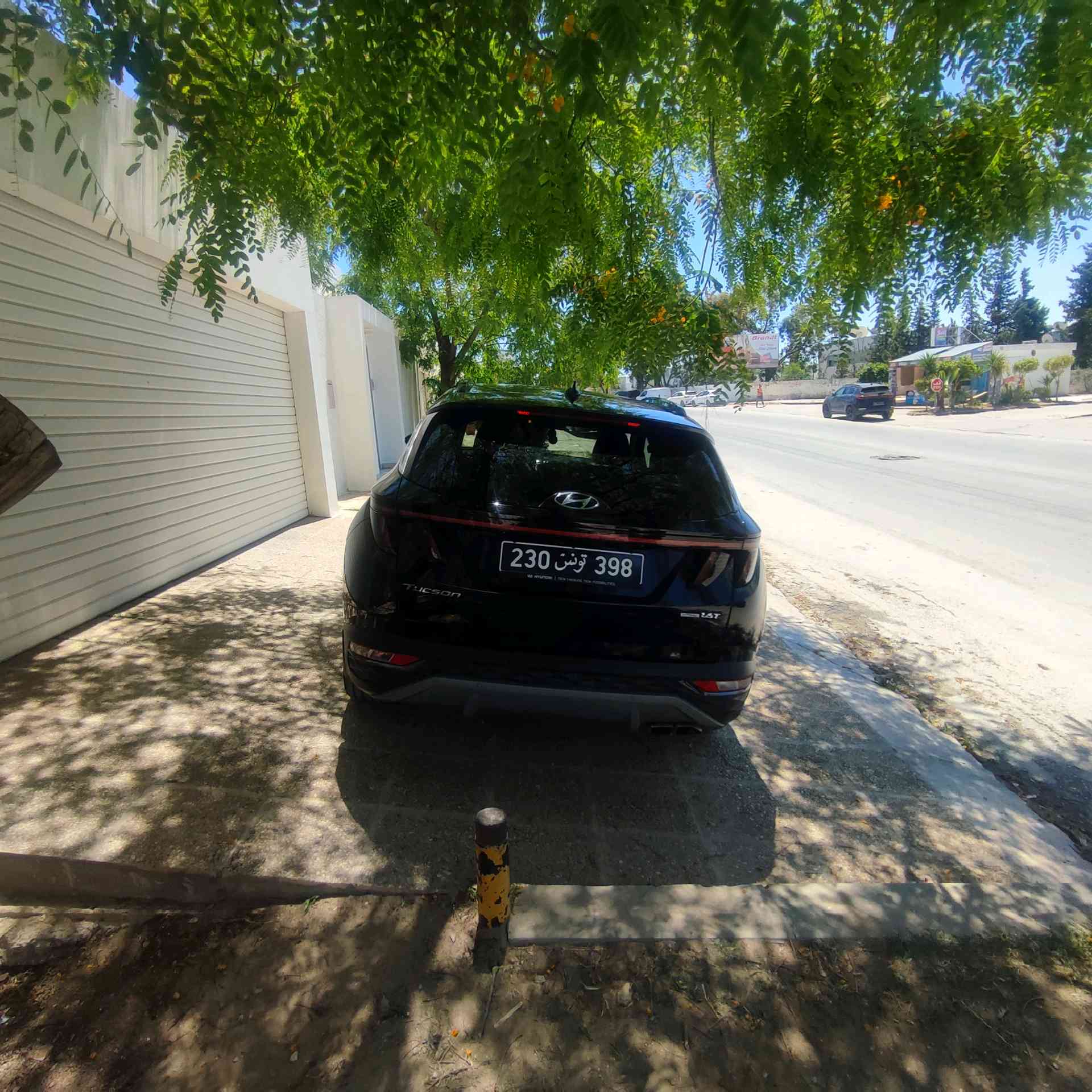 Image 7