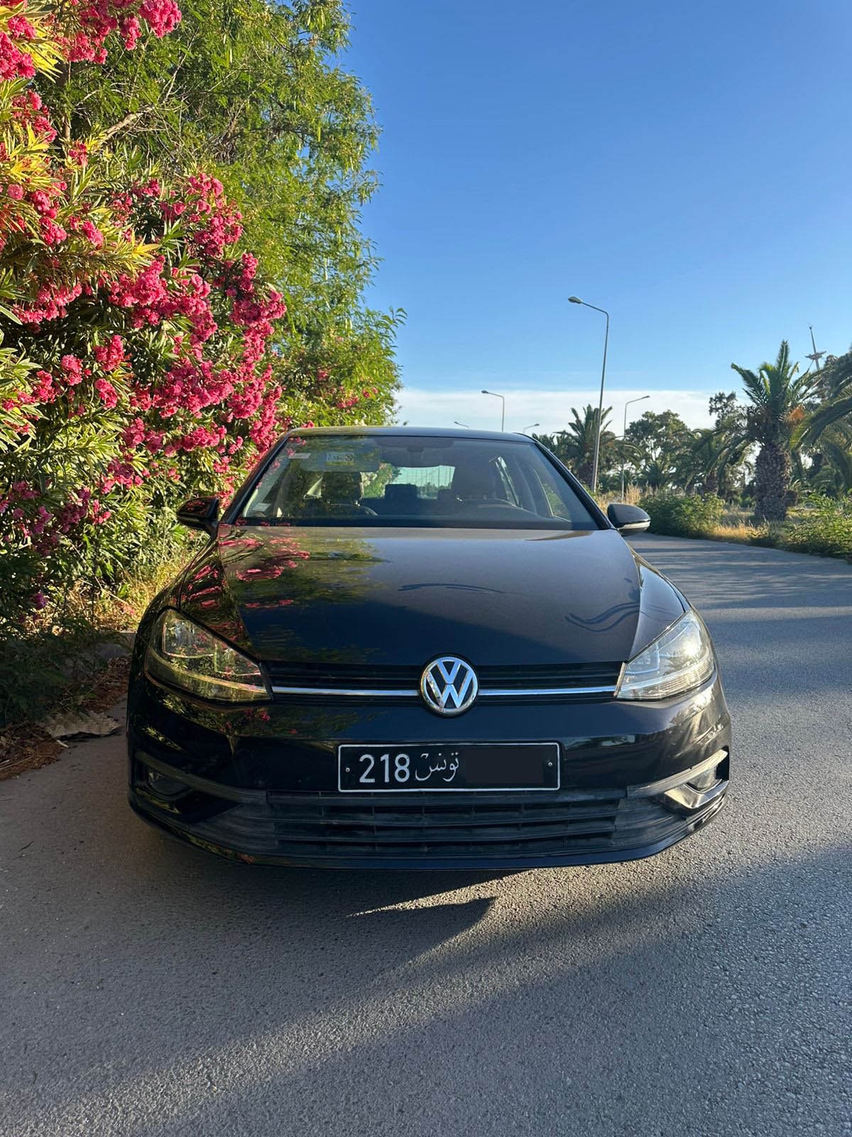 Golf 7.5 TSI