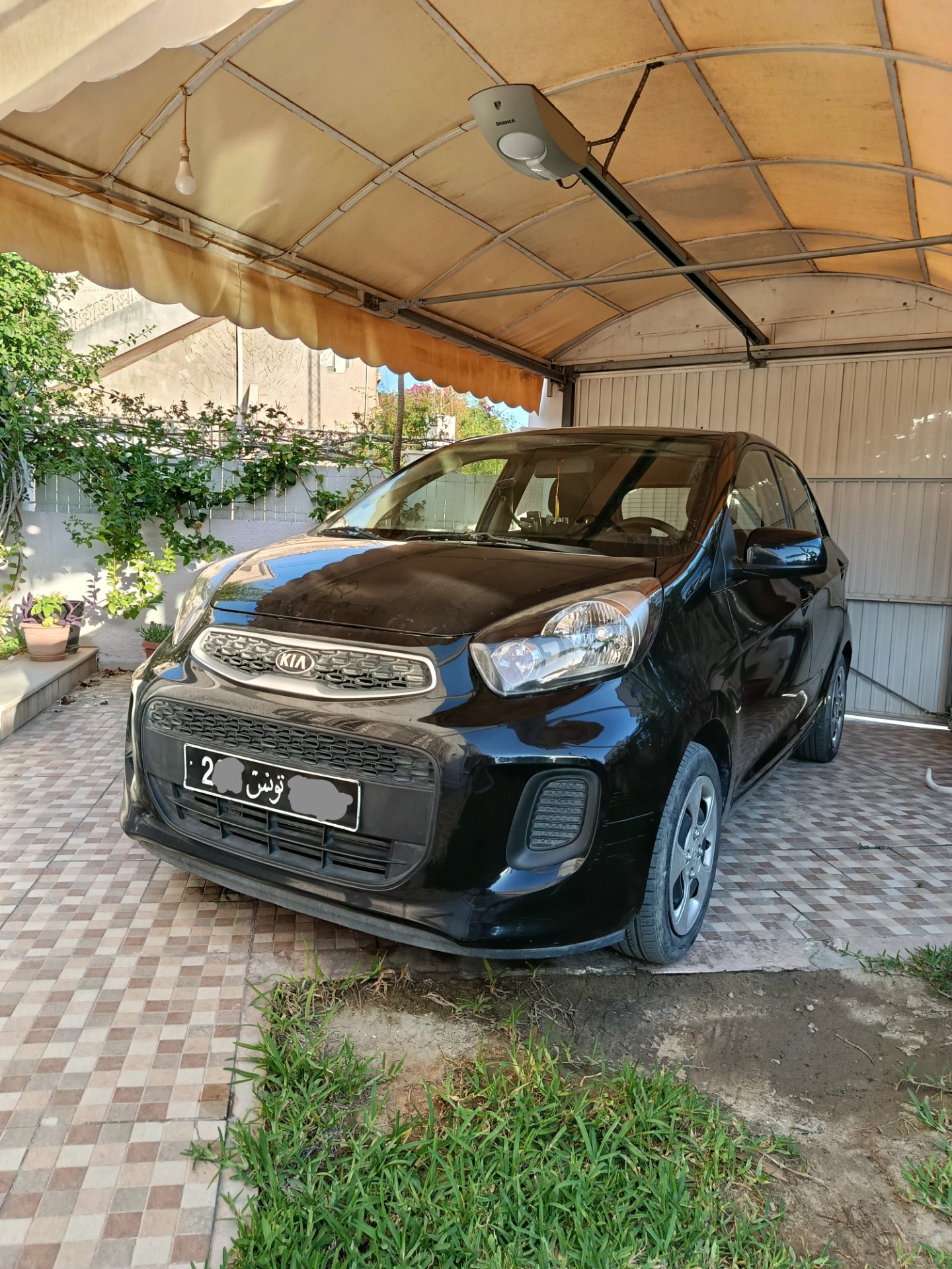 Picanto 2018