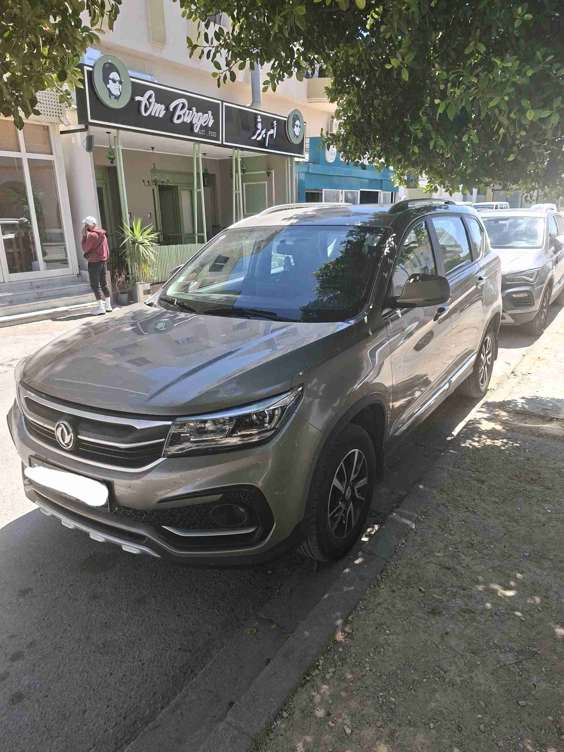 dongfeng SX3