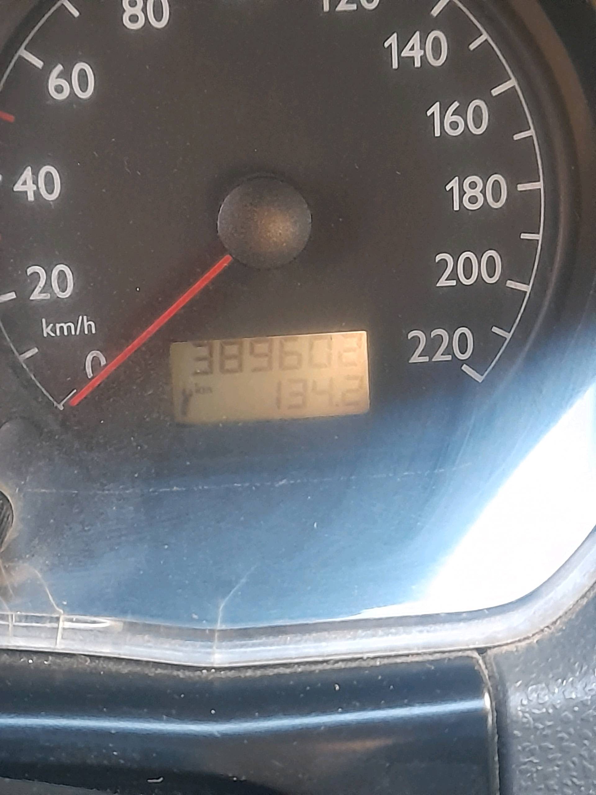 Polo 5