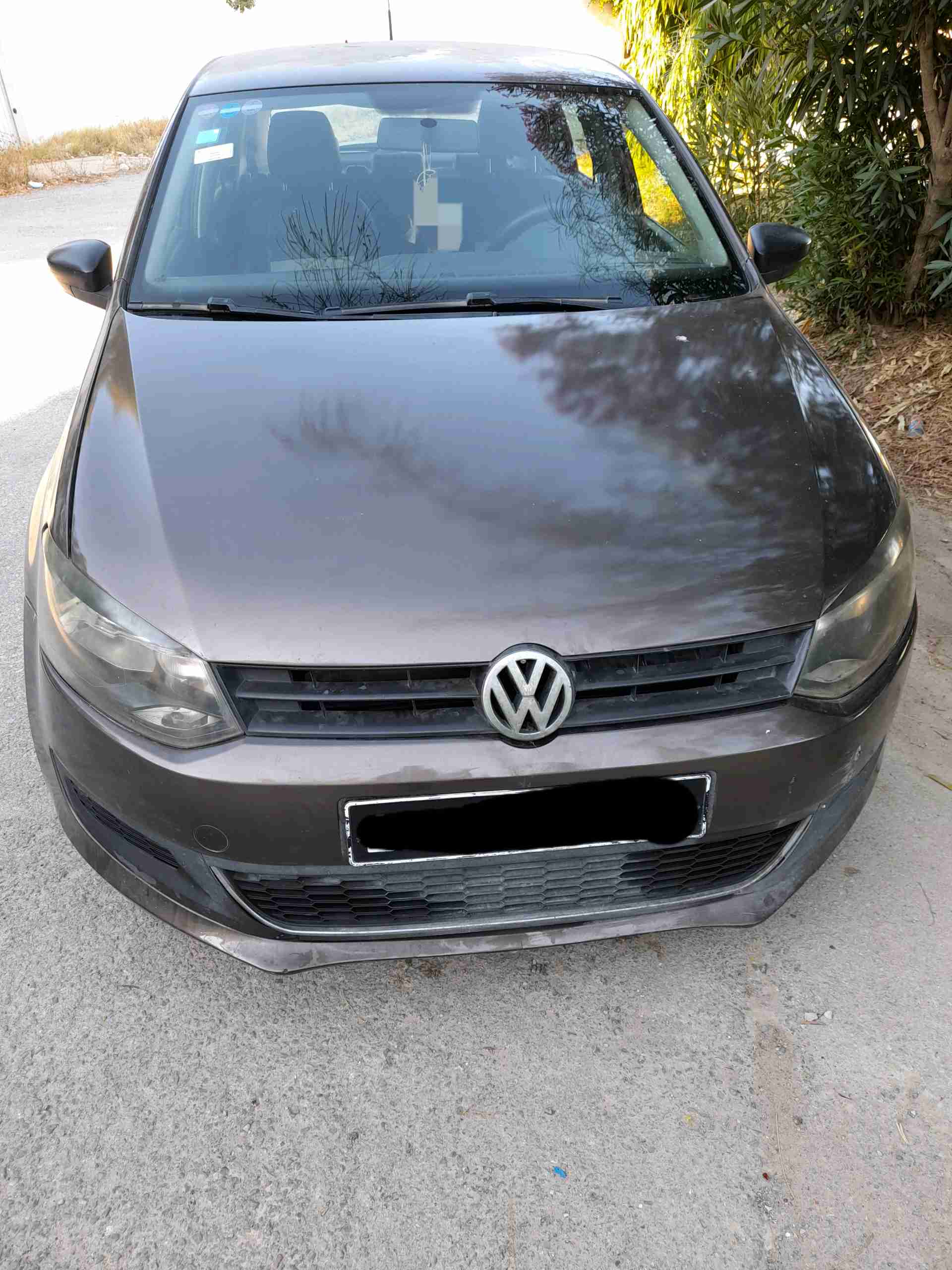 Polo 7