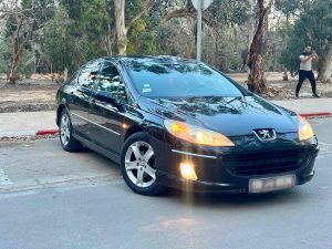 Peugeot 407