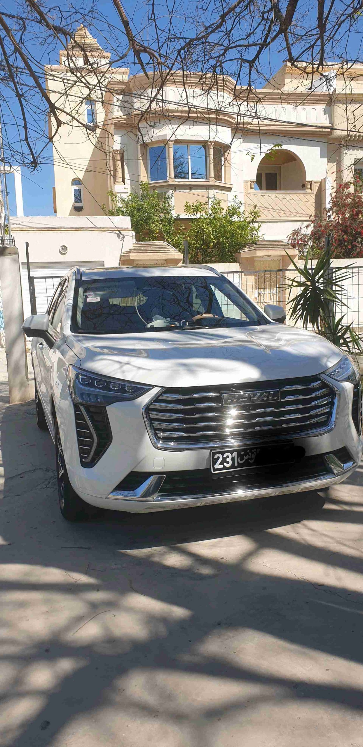 Haval jolion
