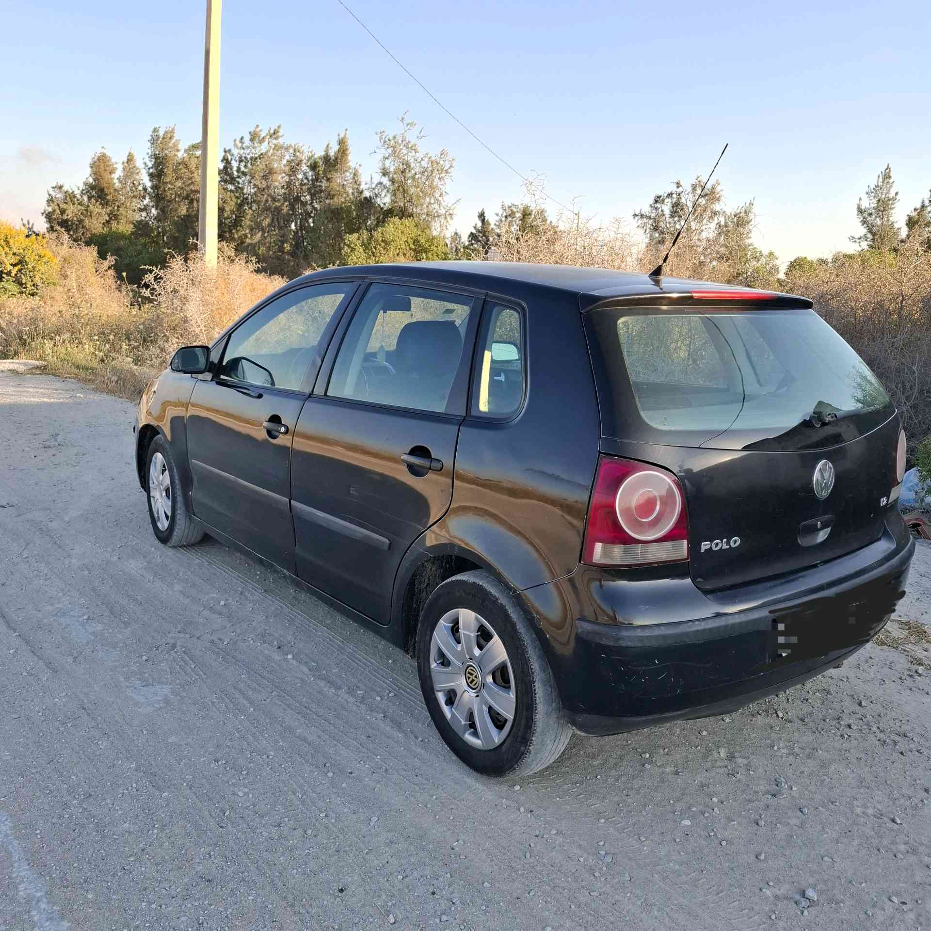 Polo 6