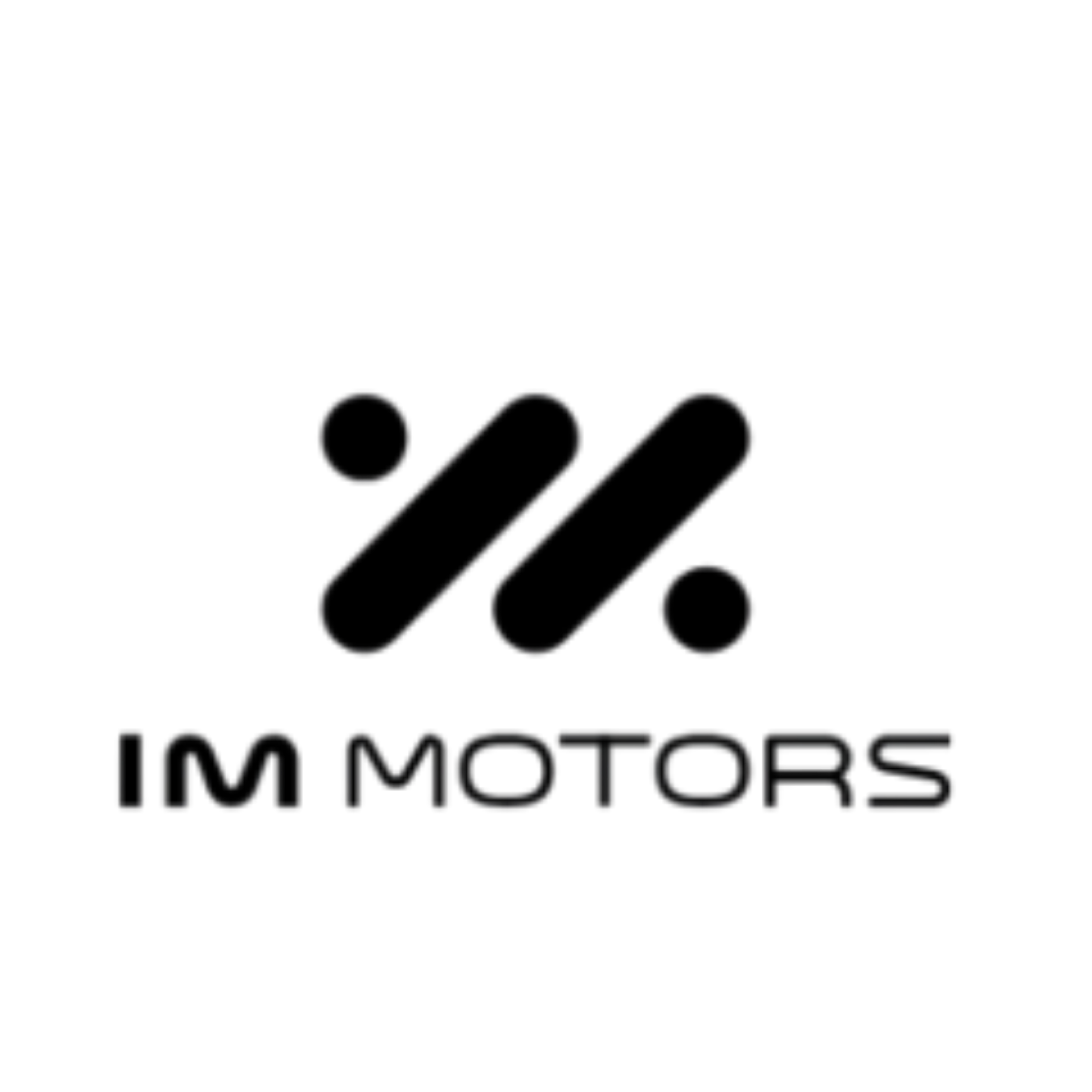 IM Motors
