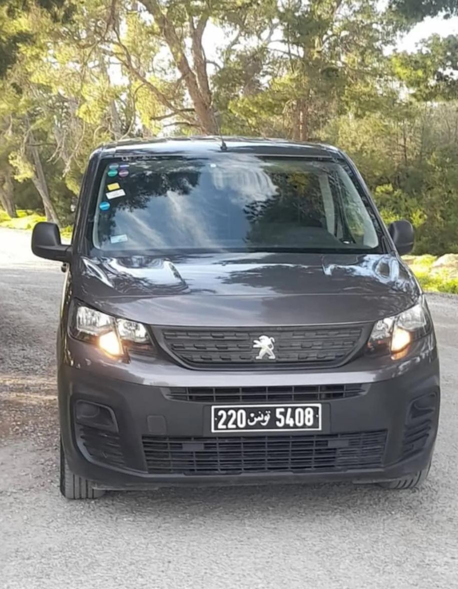 Peugeot k9