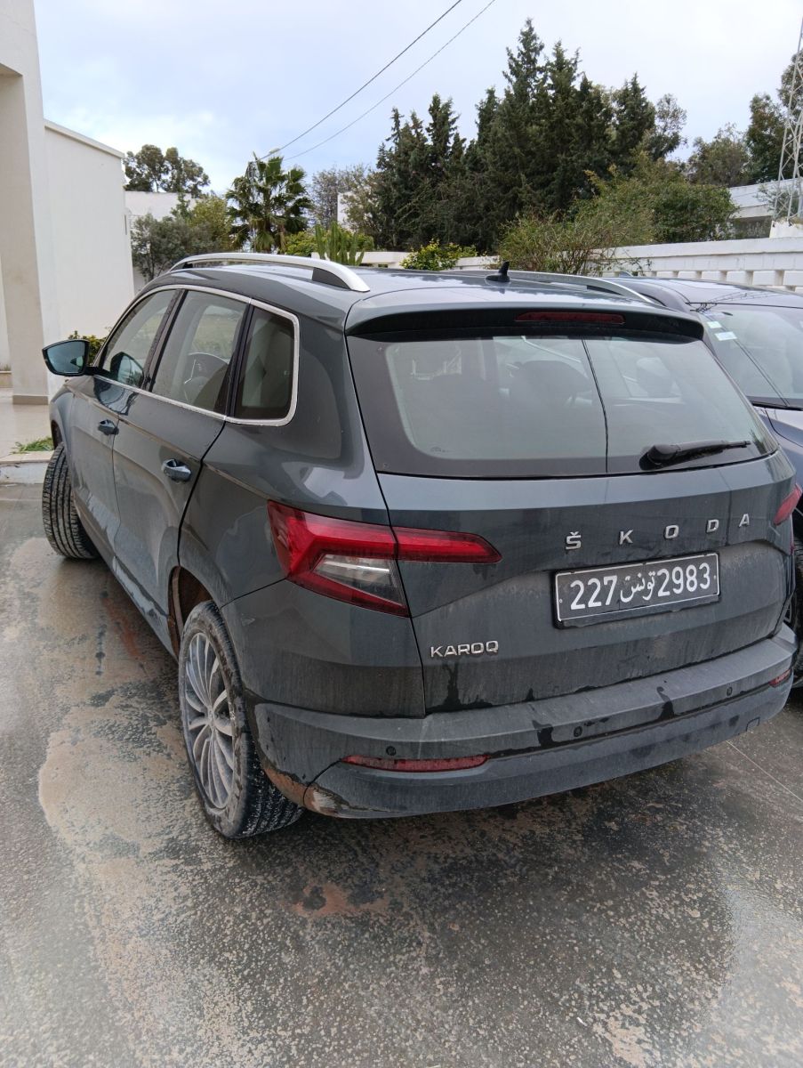 Skoda karoq