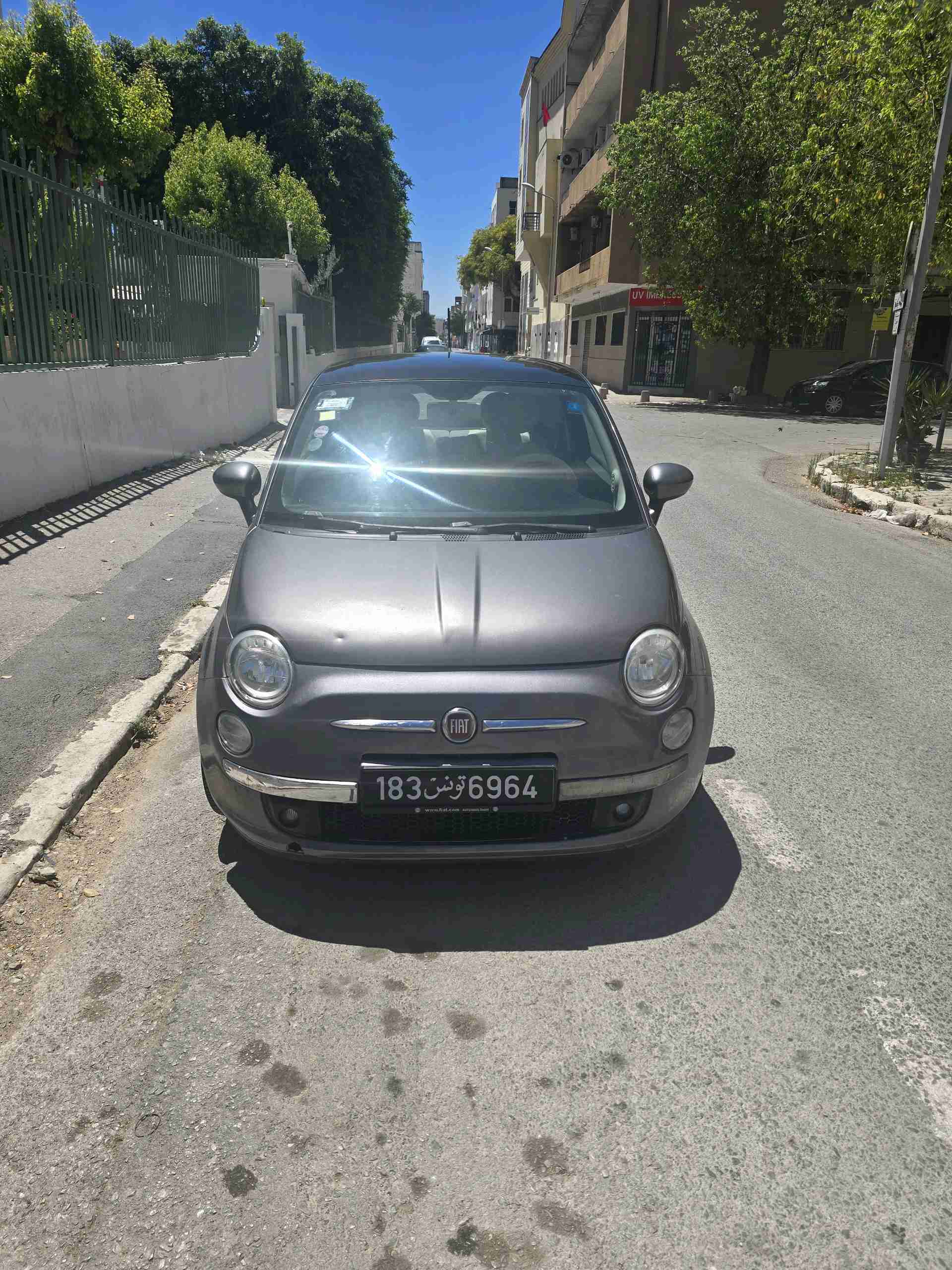 Image 7
