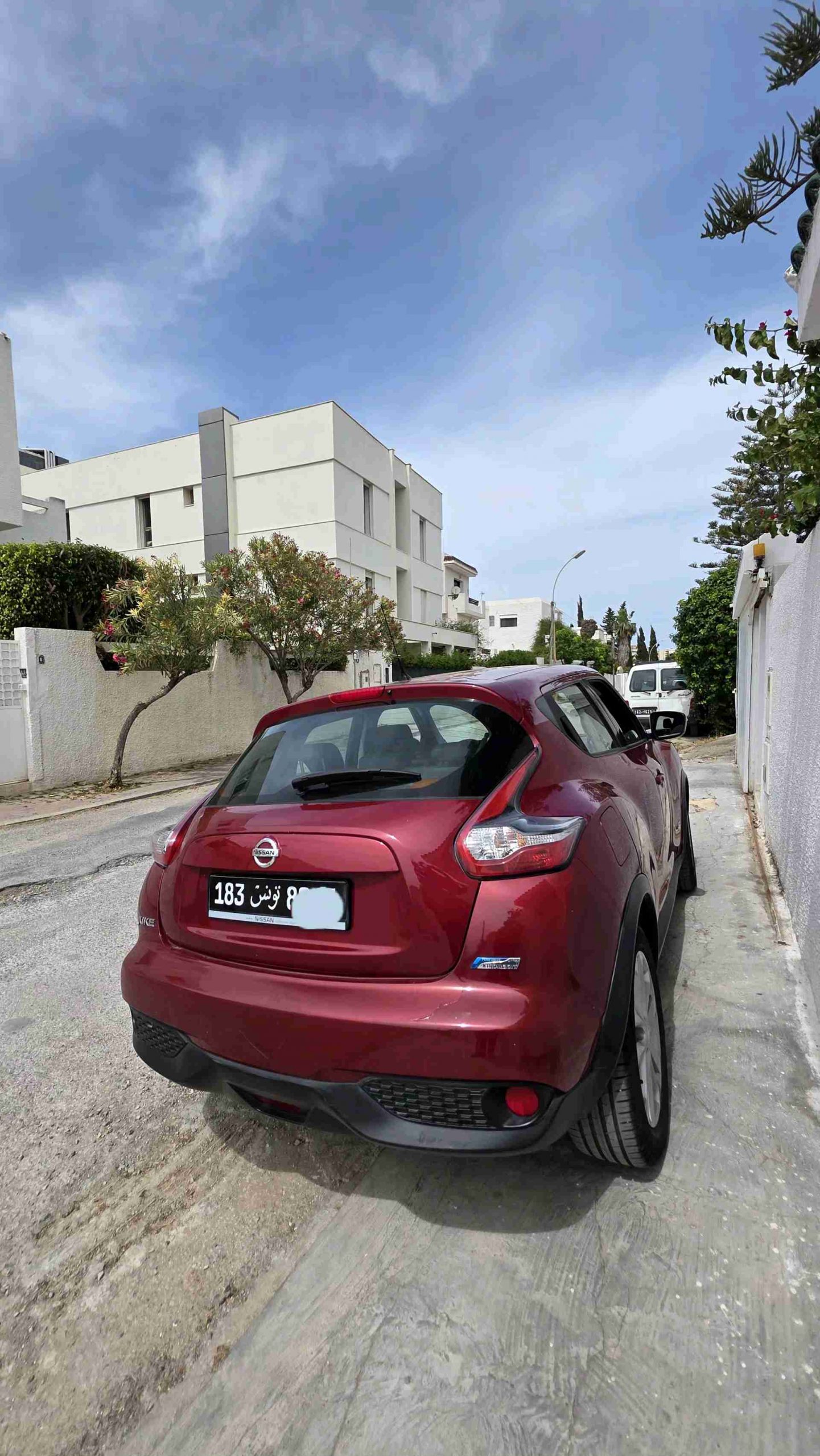 Image 5
