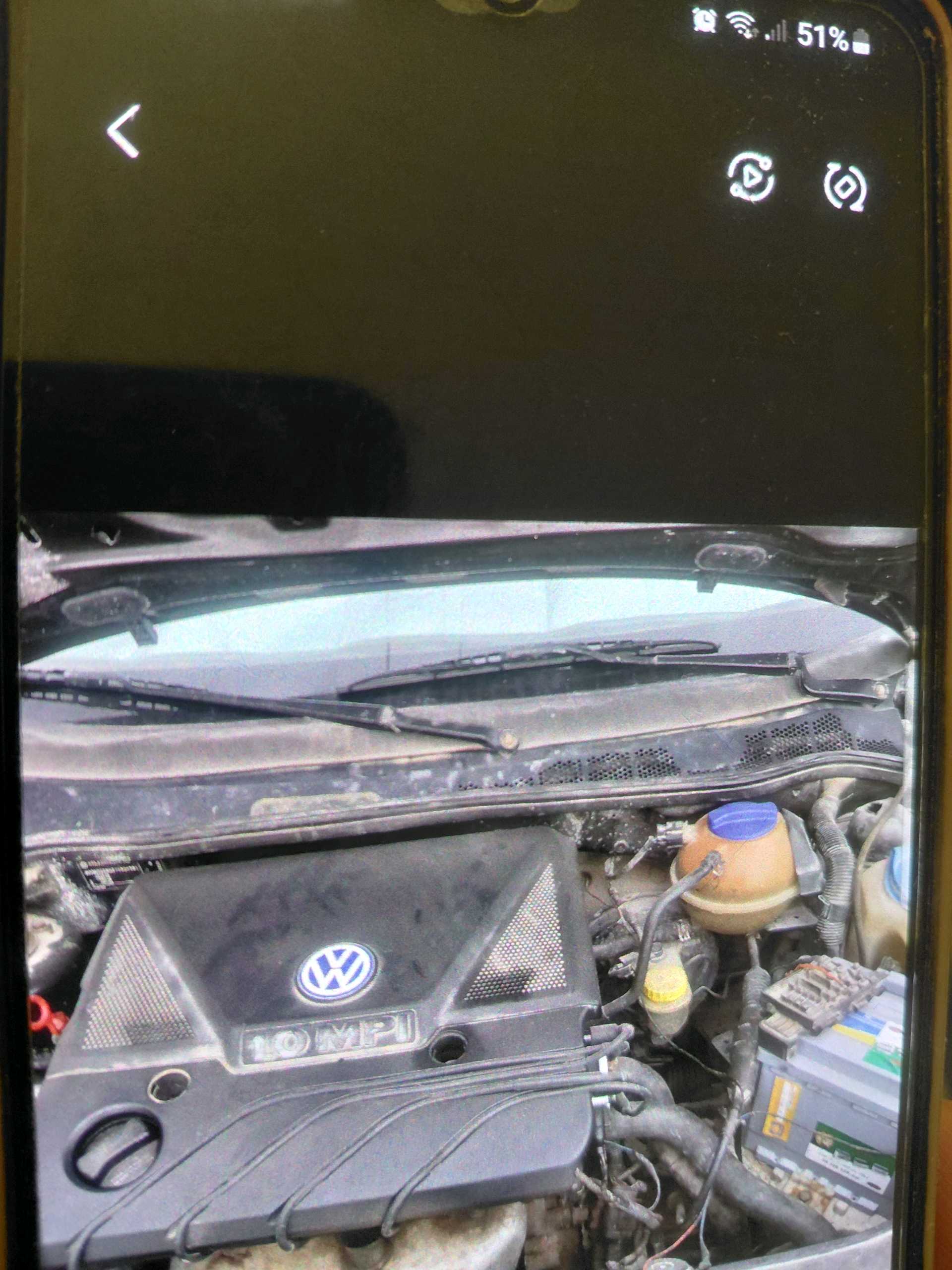Polo 4
