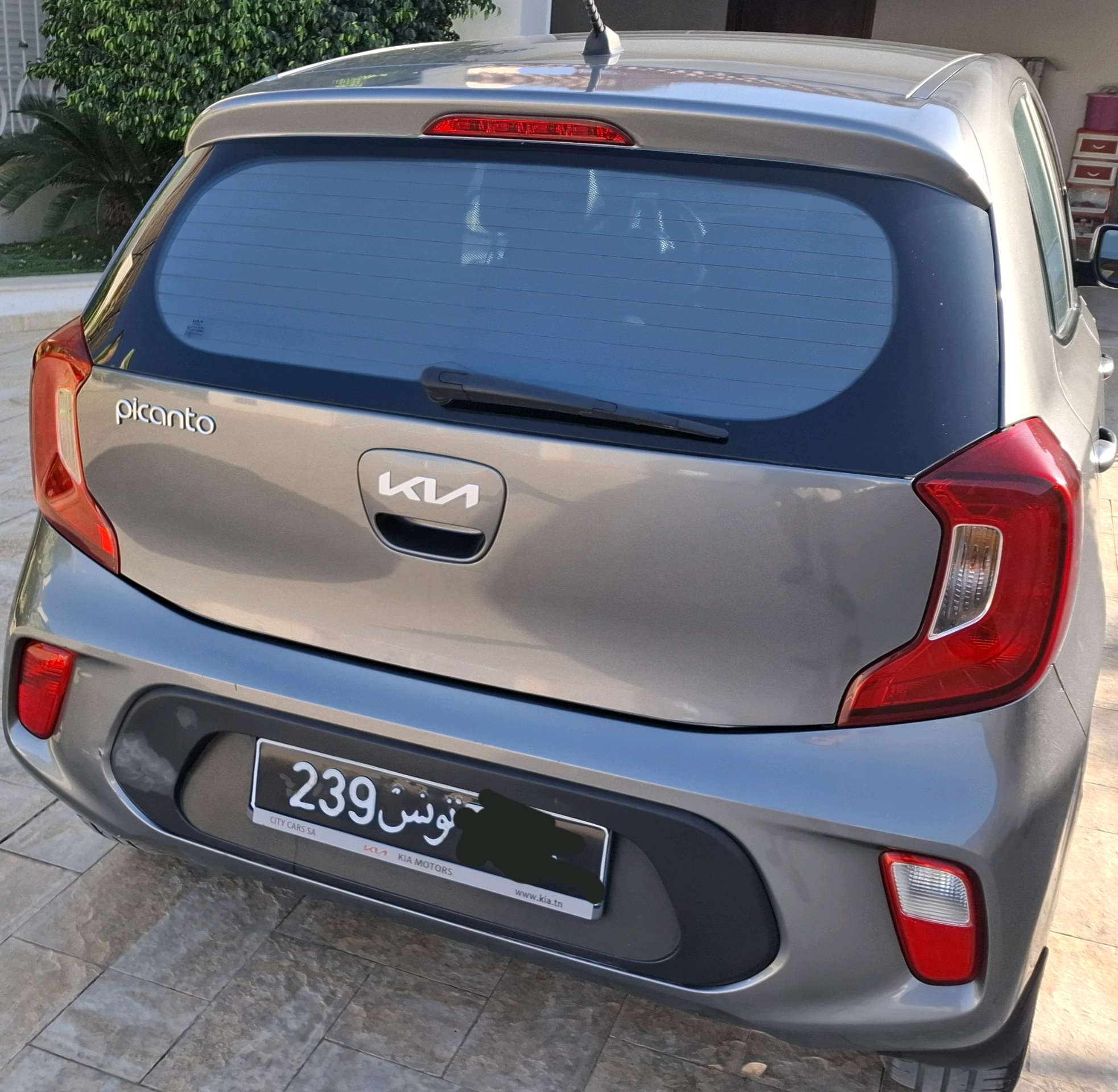 kia picanto