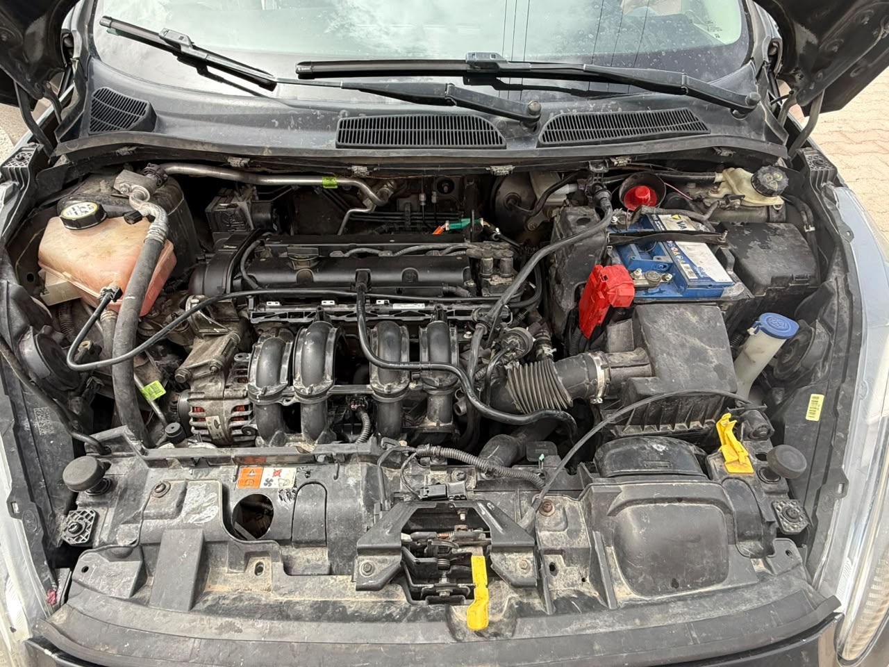 Image 5