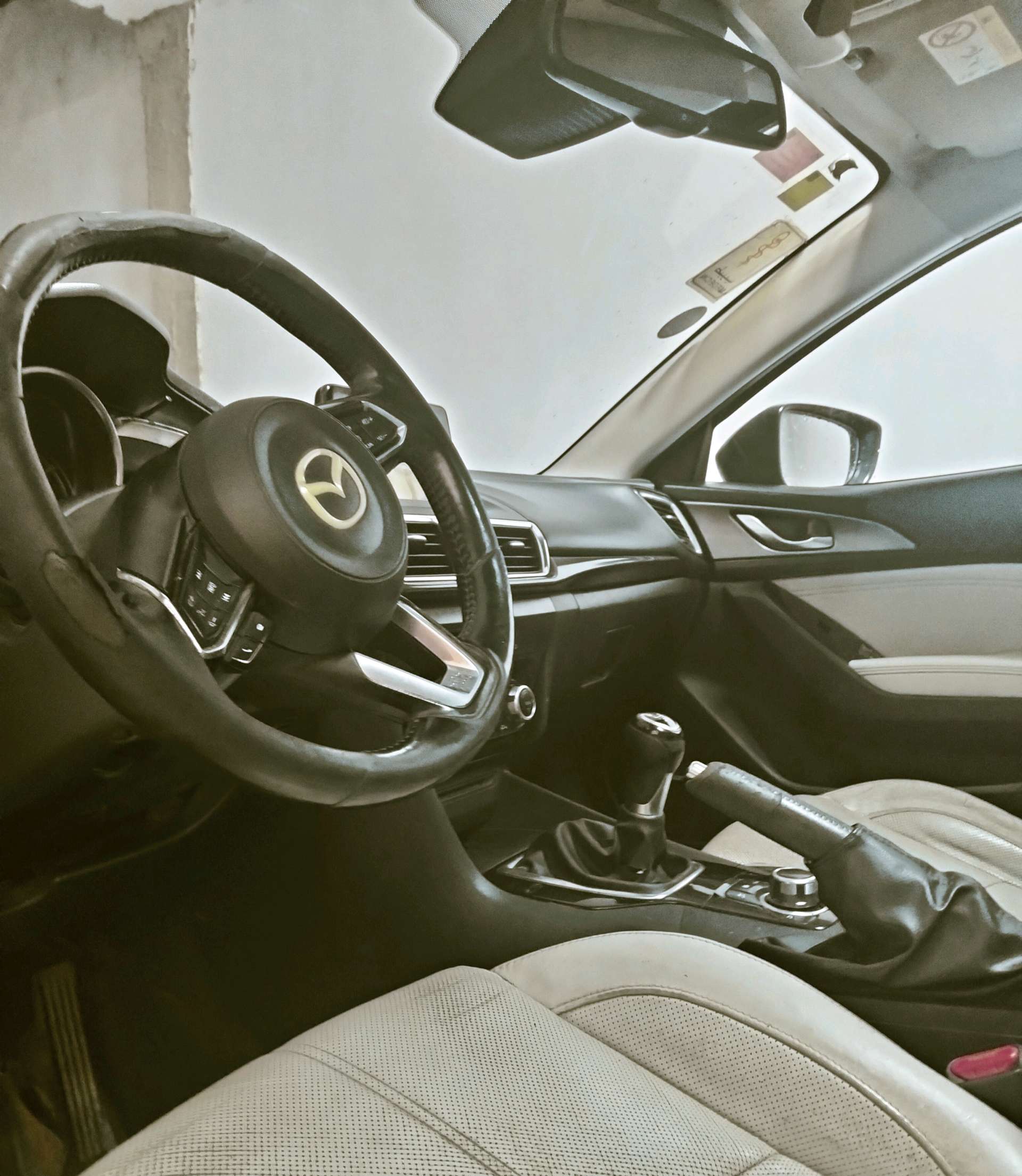 Image 7