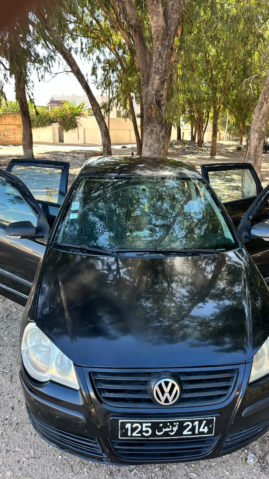Polo 6