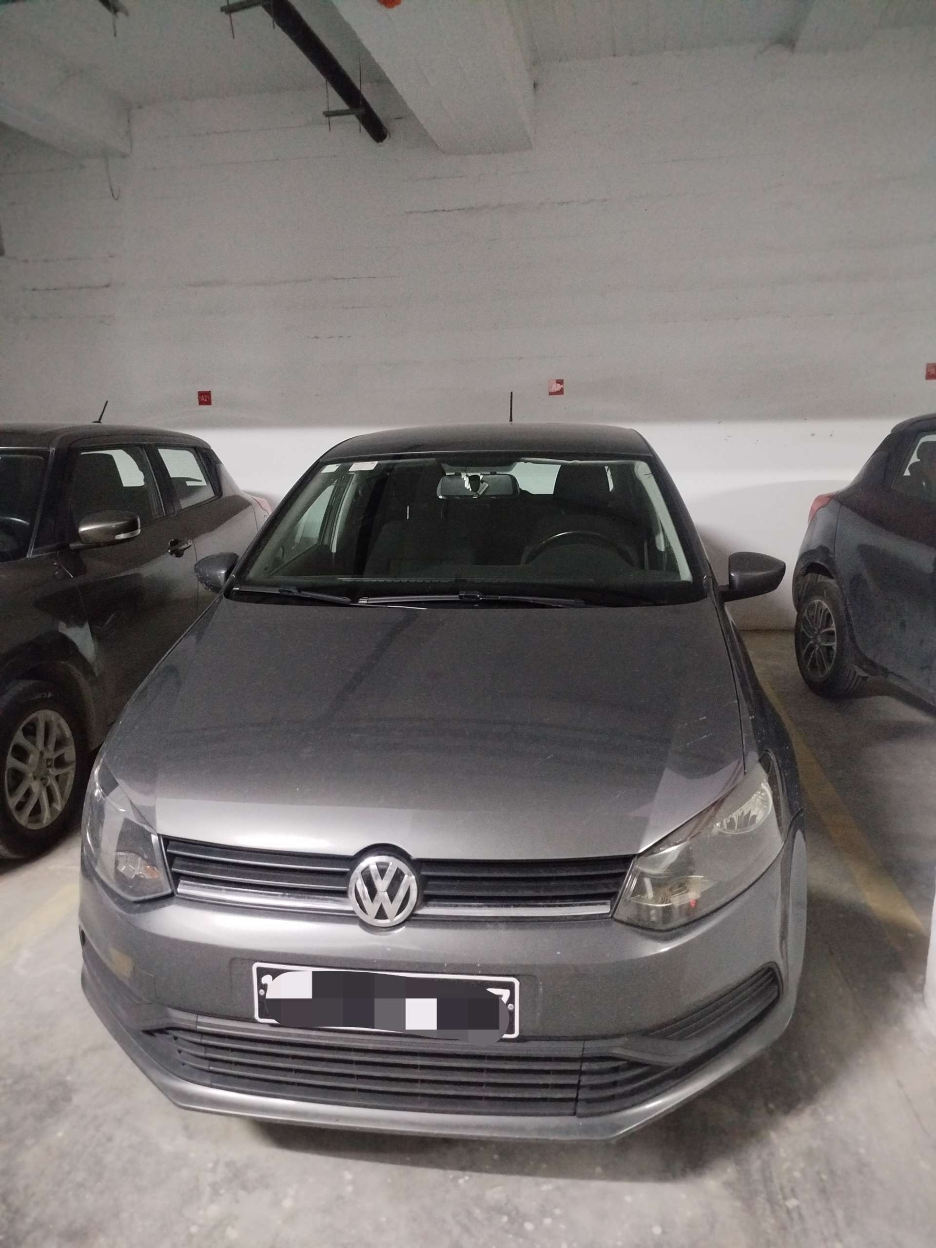 polo 7
