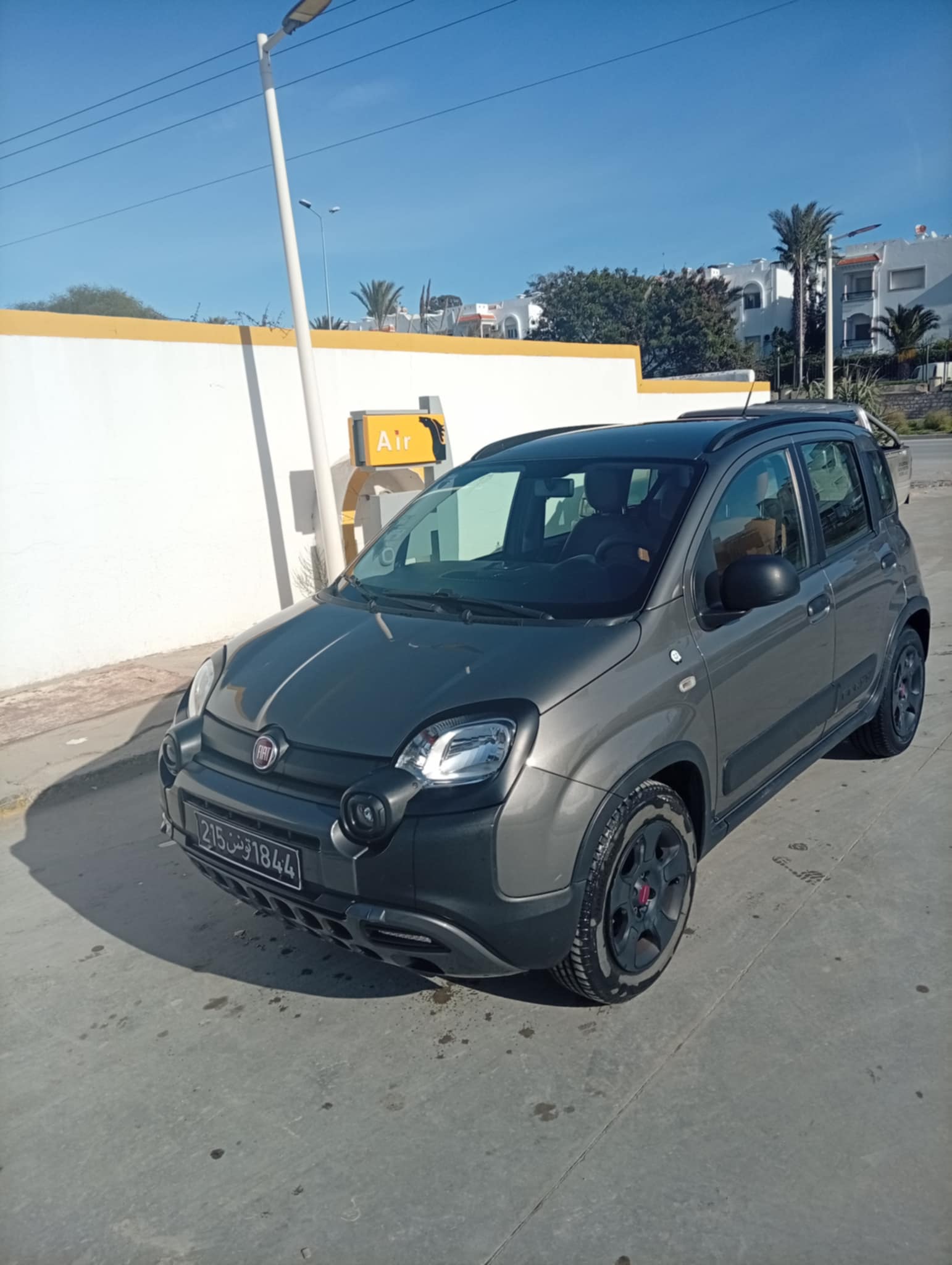 Panda cross
