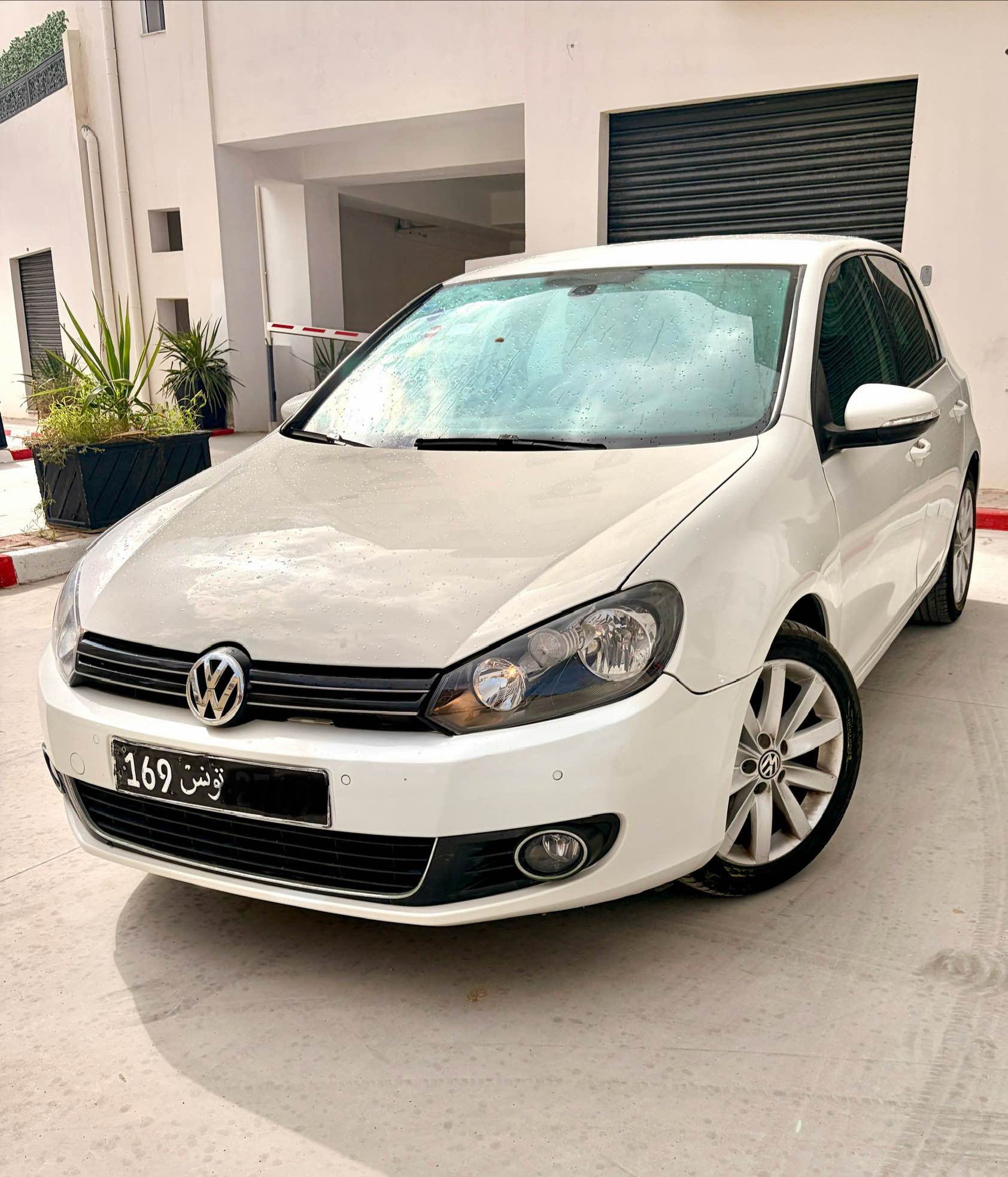 golf 6
