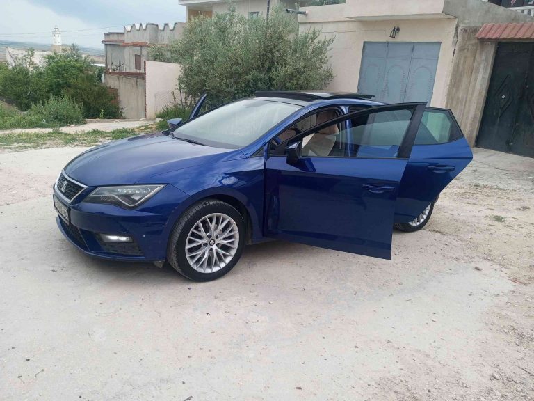 Seat Leon style