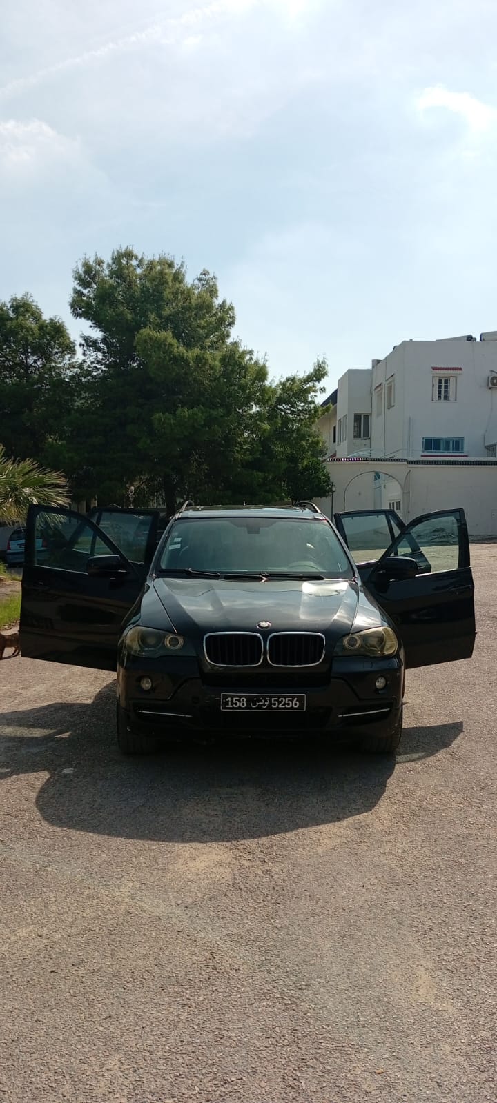 Image 8