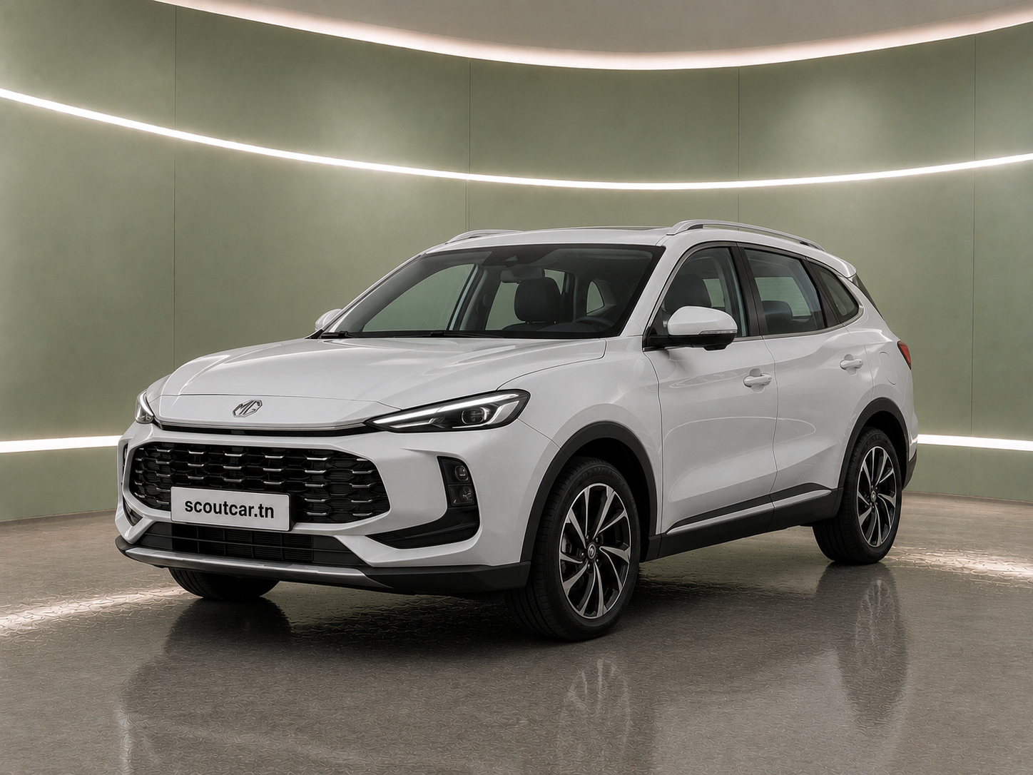ZS Hybrid+