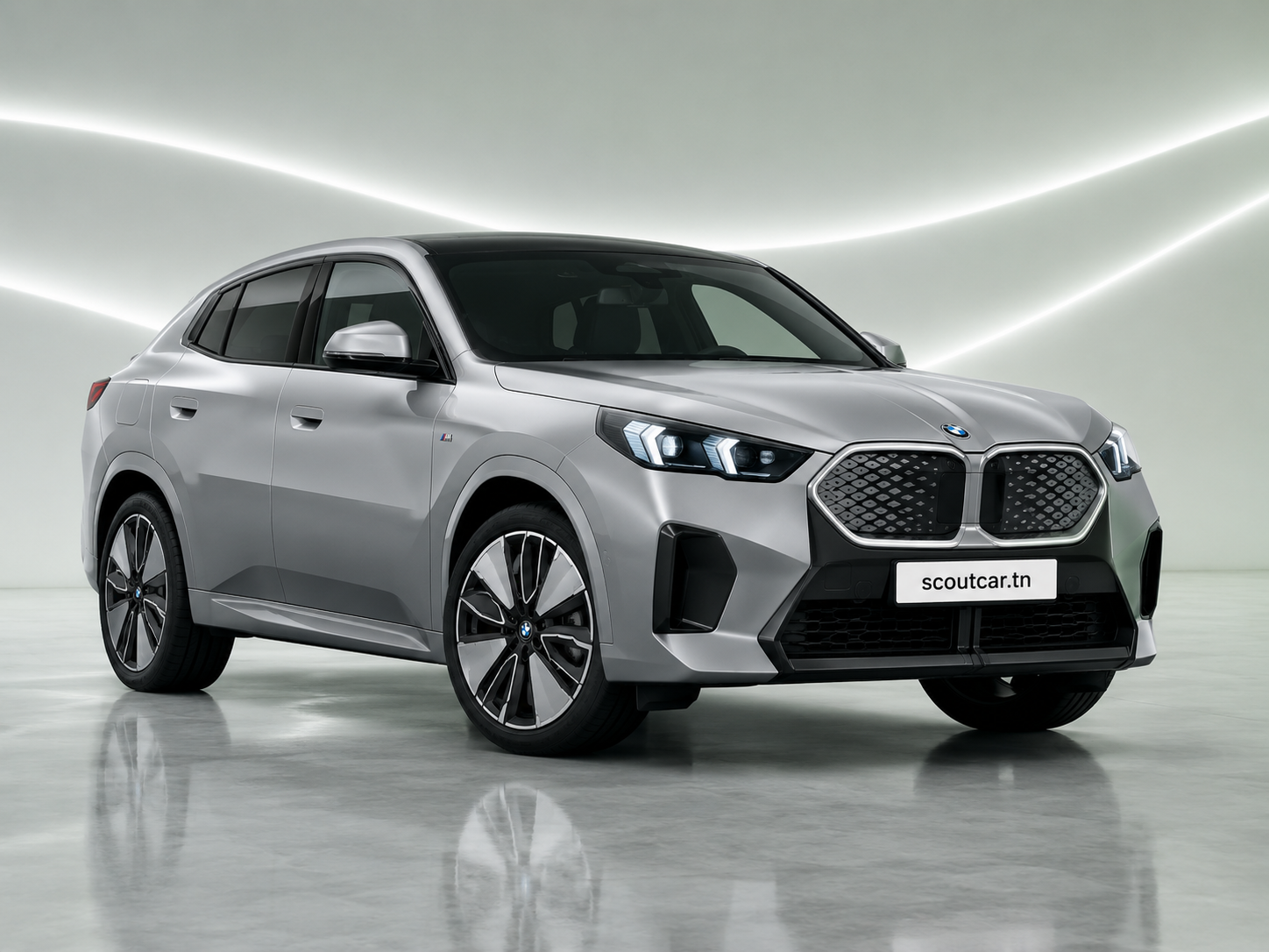 IX2
