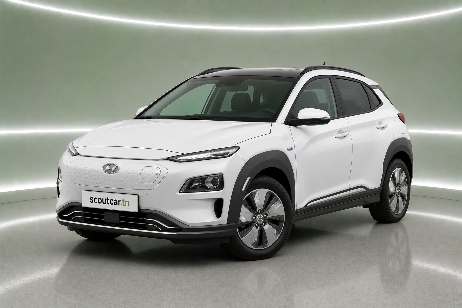 Kona Electric