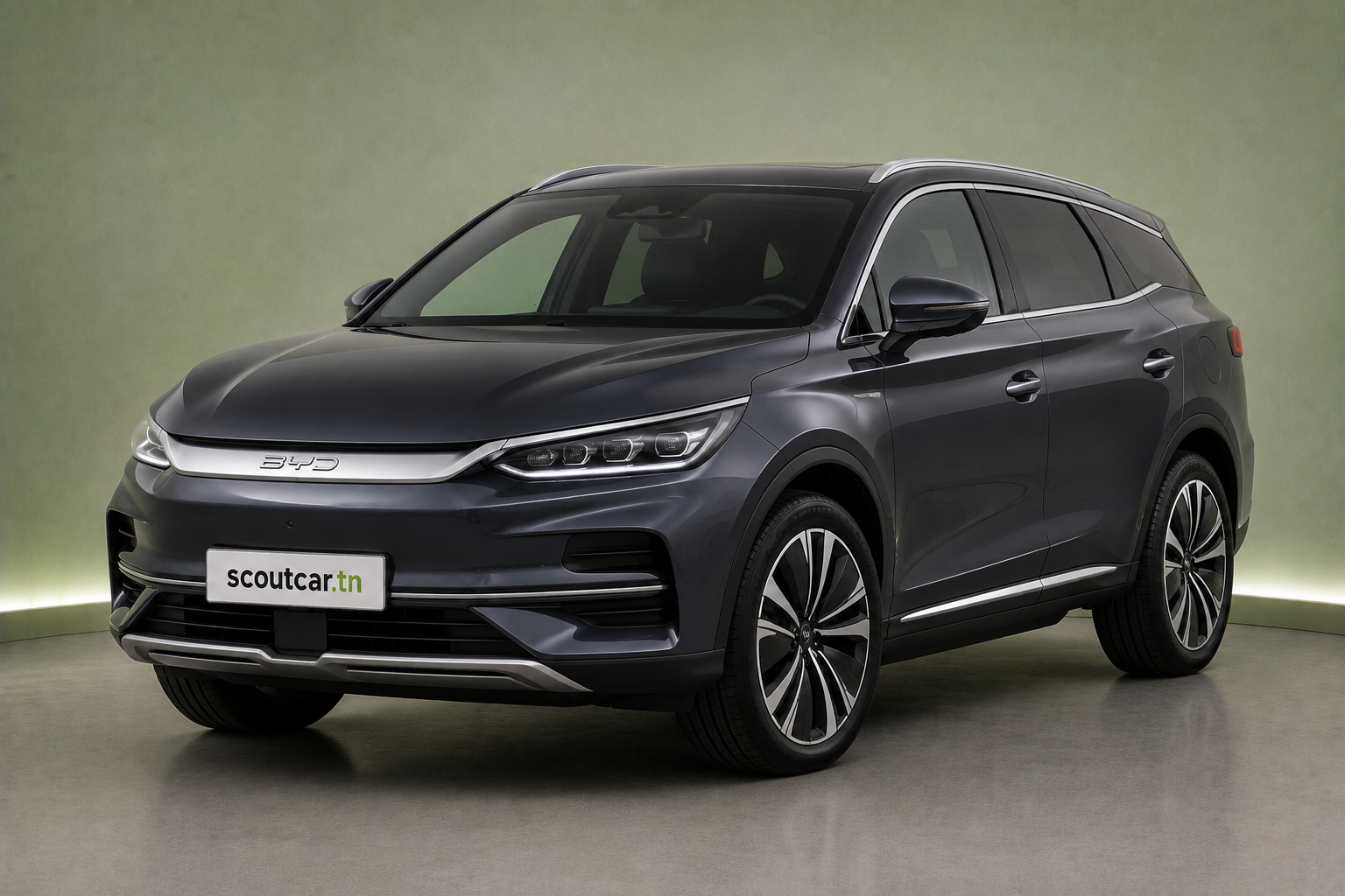 Tang EV